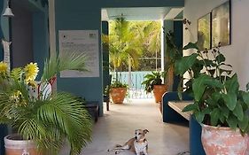 Hotel Plaza Delphinus